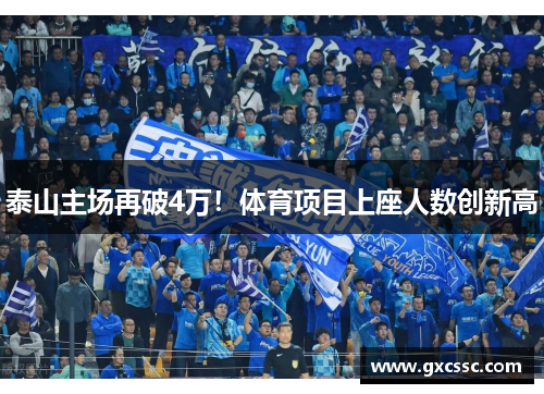 泰山主场再破4万！体育项目上座人数创新高